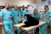 Ветеринарна клиника "City Jungle", гр. София