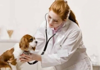 Ветеринарна клиника "Аксис" гр. Стара Загора